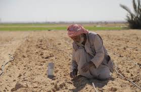 GENOCIDIO è STERMINARE SEMI CHE DANNO&nbsp;VITA